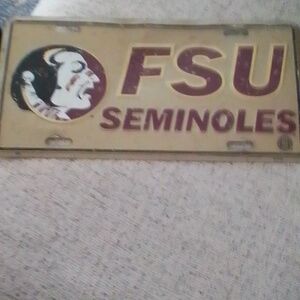 FSU Seminoles Decorative License Plate - Purple and Cream